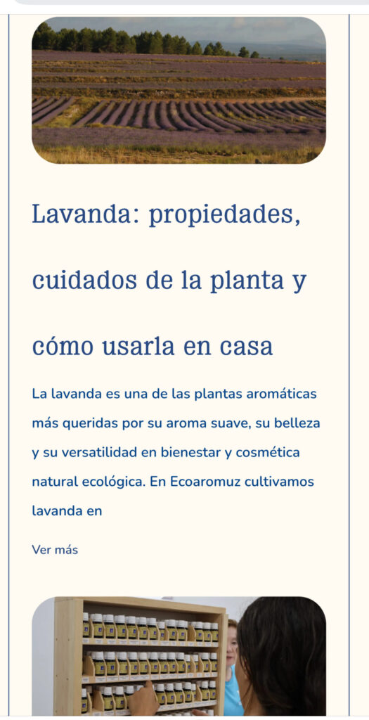 creación de contenido orgánico para blog